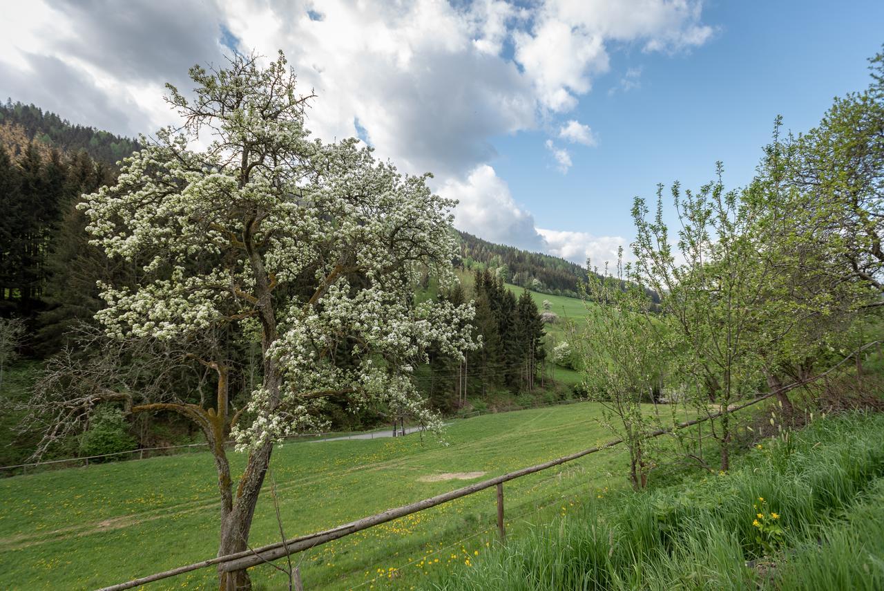 فيلا Urlaub Auf Der Alm "Deluxe" Preggraben المظهر الخارجي الصورة