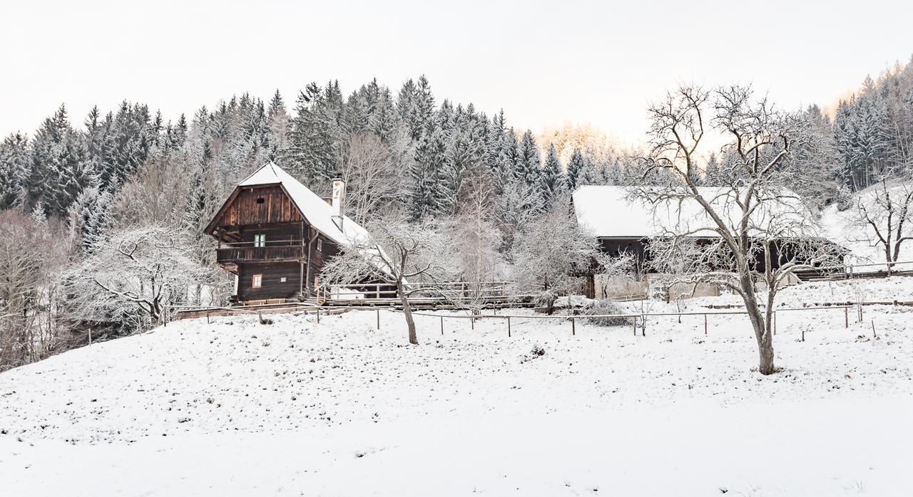 فيلا Urlaub Auf Der Alm "Deluxe" Preggraben المظهر الخارجي الصورة